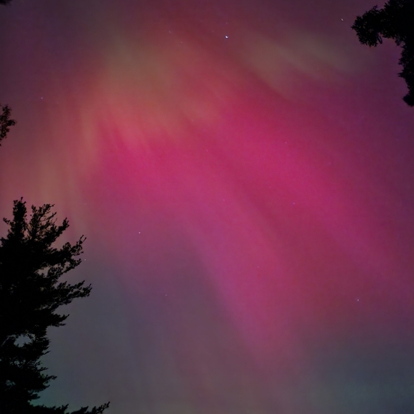 Meet your Posher, Sam - Picture 5 of 7